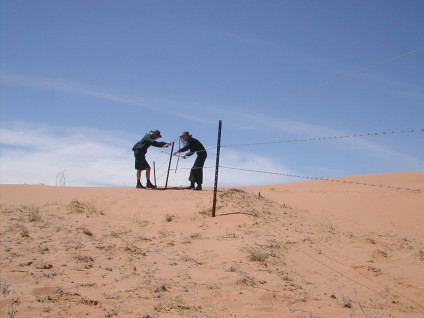 Jon Rose and Hollis Taylor making fence music in the Strezlecki Desert, Australia